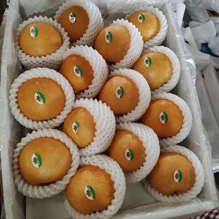 ପ୍ରିମିୟମ୍ ସିଙ୍ଗୋ ମୋତି |