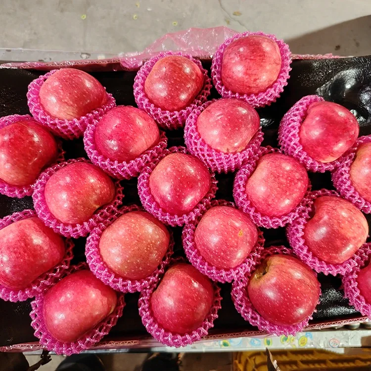 ସୁପ୍ରିଅର୍ ଫ୍ରେସ୍ ଜିଗୁଆନ୍ ଆପଲ୍ |